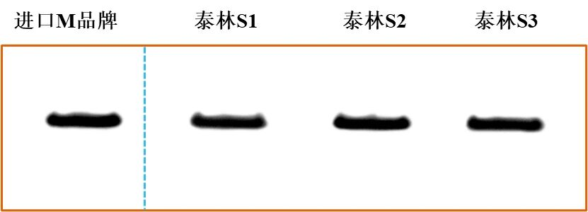 ͼƬ6.png